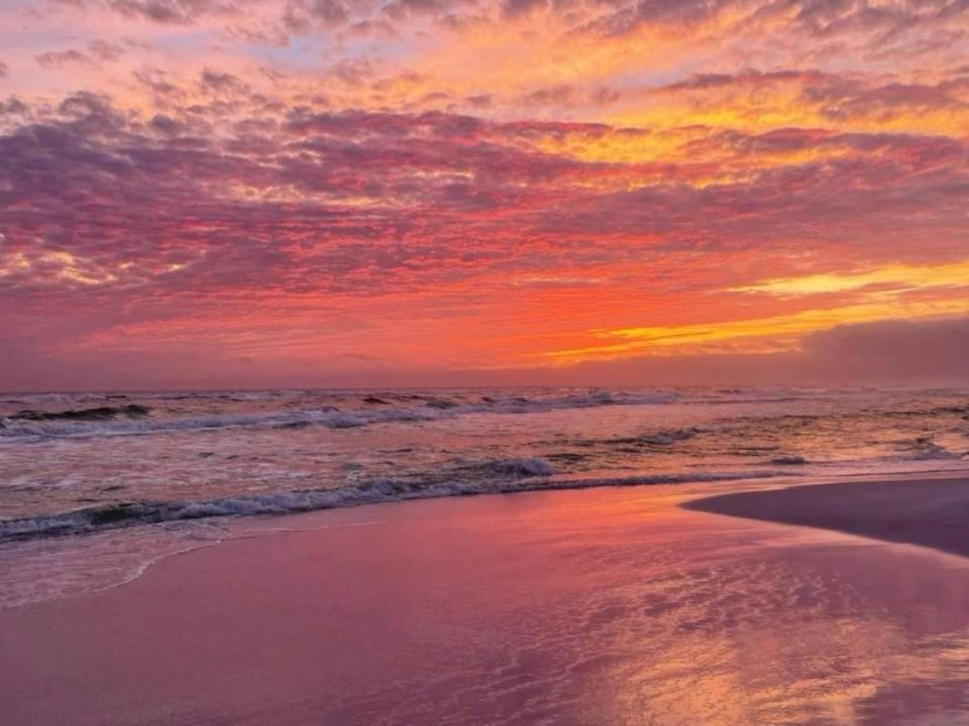 5 Star Resort 11Th Fl Stunning Sunrise 2Br 2Ba King Suite,Pools ,Shuttle Or Walk To Beach デスティン エクステリア 写真